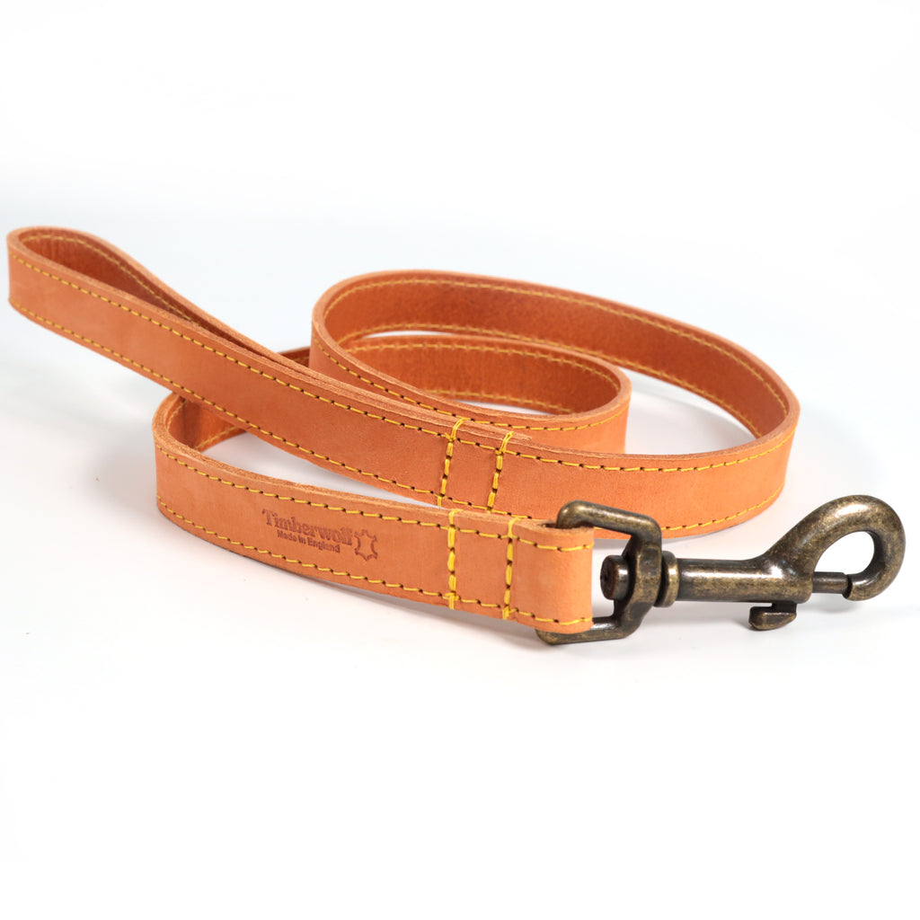 Personalised Finest Leather Dog Puppy Collar + optional Matching Lead