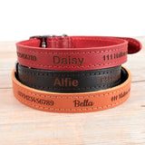 Personalised Custom Leather Dog Collar