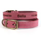 Personalised Finest Leather Dog Puppy Collar + optional Matching Lead