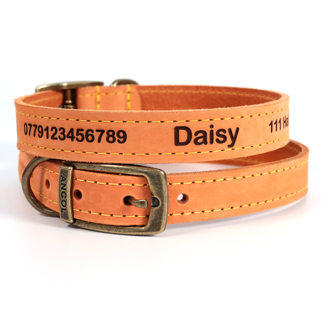 Personalised Finest Leather Dog Puppy Collar + optional Matching Lead