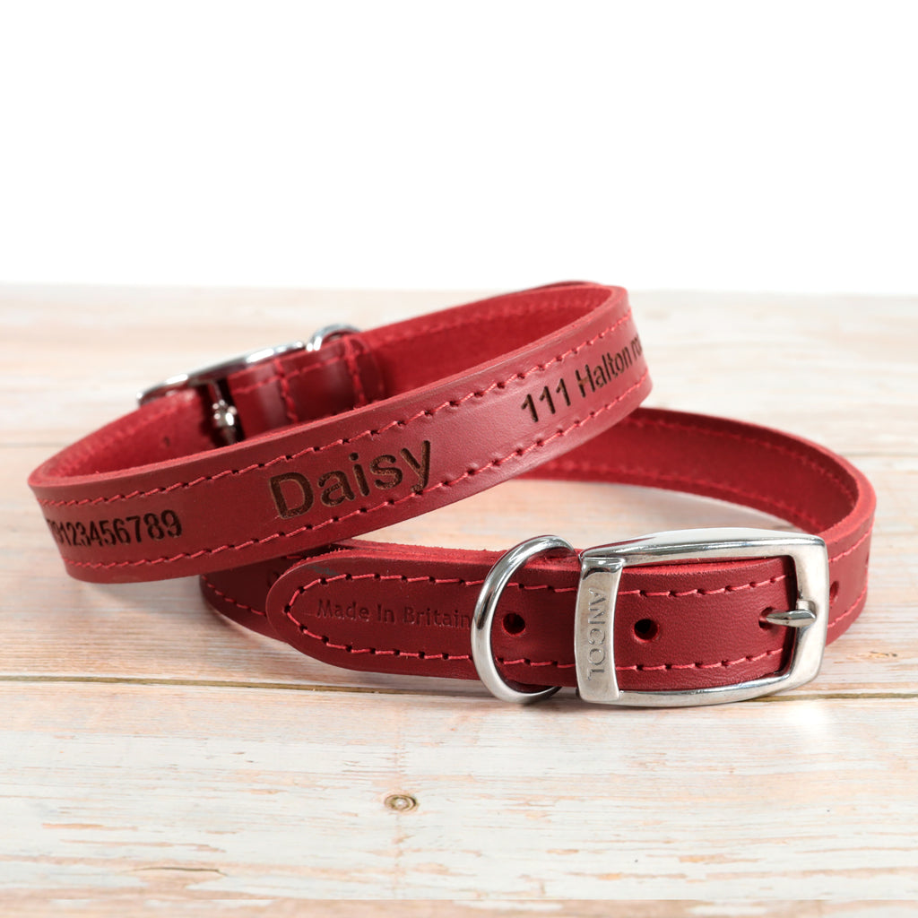 Personalised Custom Leather Dog Collar
