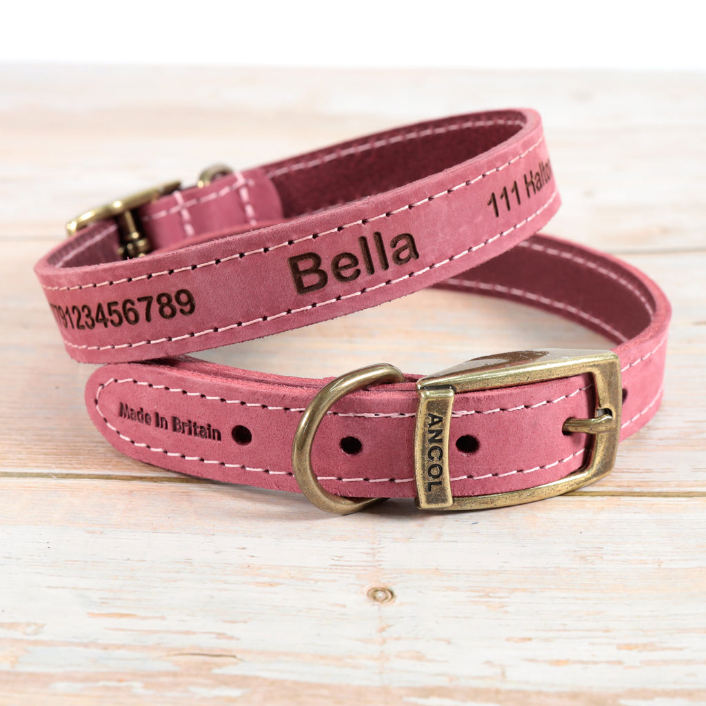 Personalised Finest Leather Dog Puppy Collar + optional Matching Lead