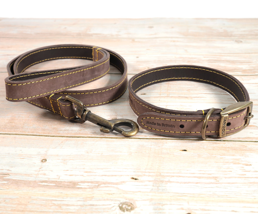 Personalised Finest Leather Dog Puppy Collar + optional Matching Lead
