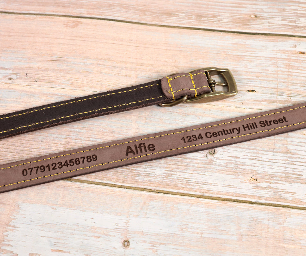 Personalised Finest Leather Dog Puppy Collar + optional Matching Lead