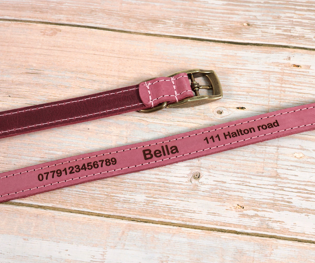 Personalised Finest Leather Dog Puppy Collar + optional Matching Lead