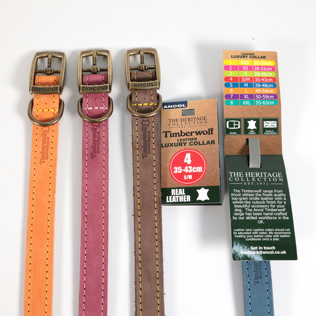 Personalised Finest Leather Dog Puppy Collar + optional Matching Lead