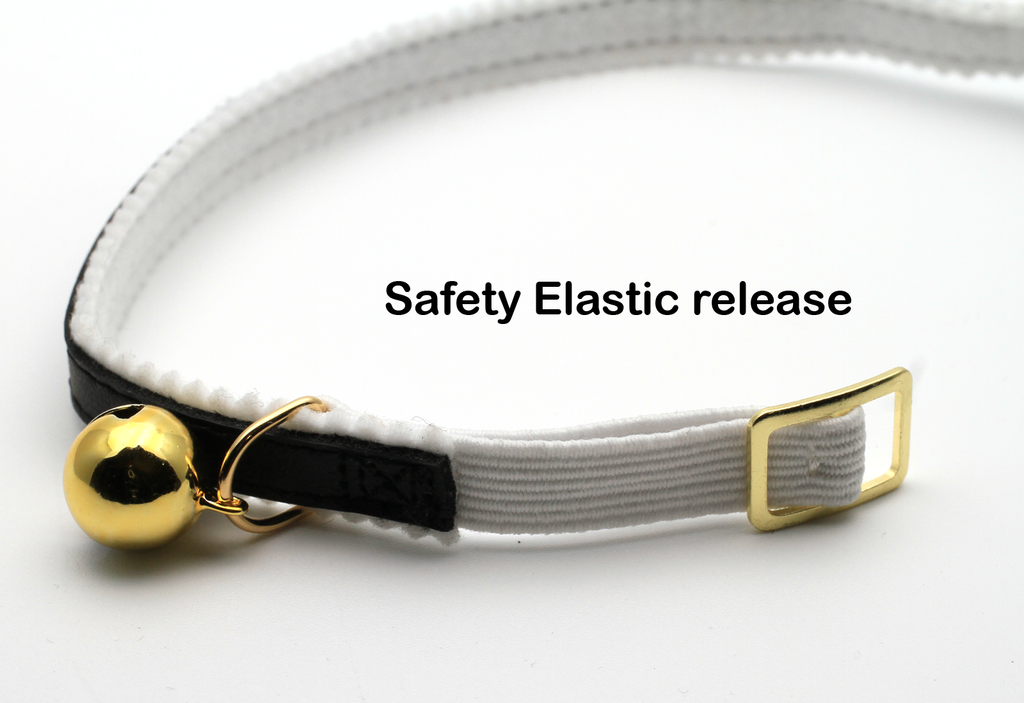 Personalised Custom Cat Kitten Collar