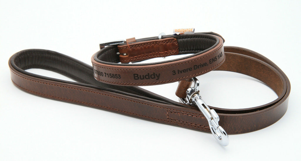 Personalised Premium Padded Leather Dog Collar + optional Matching Lead