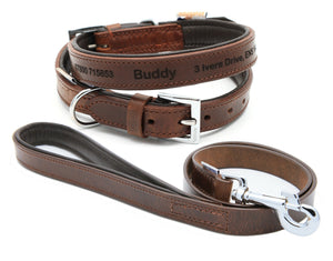 Personalised Premium Padded Leather Dog Collar + optional Matching Lead
