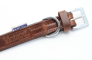 Personalised Premium Padded Leather Dog Collar + optional Matching Lead