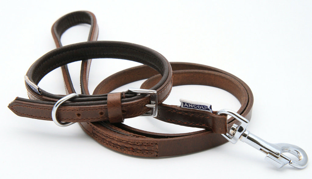 Personalised Premium Padded Leather Dog Collar + optional Matching Lead